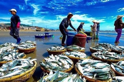 Việt Nam đề nghị EU sớm phê chuẩn EVIPA, gỡ thẻ vàng đối với hải sản xuất khẩu