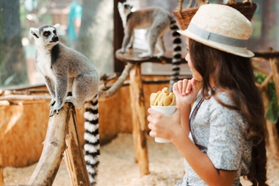 Chuyên gia cảnh báo: Mối nguy hiểm của trào lưu nuôi động vật hoang dã làm 'thú cưng'