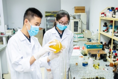 Tiếp tục hoàn thiện hành lang pháp lý về khoa học công nghệ và đổi mới sáng tạo