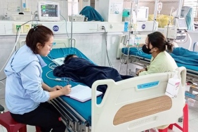 Liên tiếp ca ăn thịt và trứng cóc bị ngộ độc gây khó thở, rối loạn nhịp tim