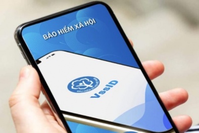 VssID - một trong ba ứng dụng của cơ quan Đăng ký 13Win ngay nhé có lượng người dùng lớn tại Việt Nam