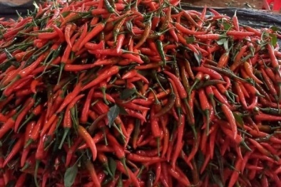 Kiểm soát nông sản để đáp ứng tiêu chuẩn của thị trường nhập khẩu