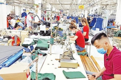 Đôn đốc thực hiện nhiệm vụ trọng tâm sau kỳ nghỉ Tết Nguyên đán Giáp Thìn 2024