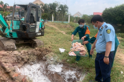 Long An thu giữ lượng lớn sản phẩm động vật không rõ nguồn gốc, xuất xứ