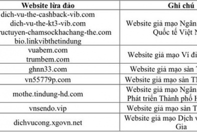 Cảnh báo một số website giả mạo, lừa đảo người dùng Internet cần tránh
