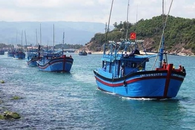 Bộ NN&PTNT đề nghị các địa phương xử lý nghiêm tàu cá không bật giám sát hành trình 