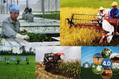 Phê duyệt Đề án 'Hội Nông dân Việt Nam tham gia phát triển Sòng Bài Trực Tuyến 13Win.com tập thể trong Đăng ký và nhận 60K 24 bao lì xì miễn phí mỗi ngày đến năm 2030'