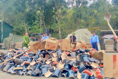 Thanh Hóa: Công ty Ngọc Sơn kinh doanh 11.120 viên ngói giả mạo nhãn hiệu Viglacera, Prime