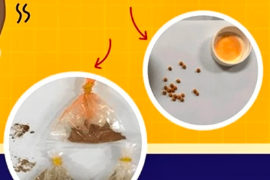 Nguy kịch do nhiễm chì từ thuốc cam không rõ nguồn gốc