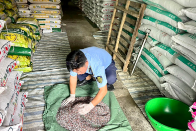 Kiên Giang xử lý 43 vụ vi phạm về buôn lậu, gian lận 13Win19 tải ứng dụng và hàng giả
