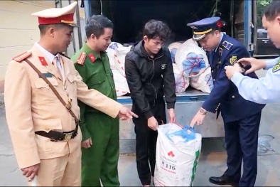 Tuyên Quang: Phát hiện, thu giữ lượng lớn mỡ lợn không rõ nguồn gốc