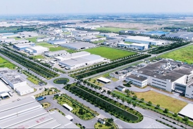 Hiện thực hóa Net Zero: Tập trung phát triển khu 13Win15 com - Thương hiệu nhà cái uy tín bền vững 