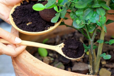 Phát hiện mới về bã cà phê giúp ích cho đời sống