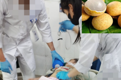Cảnh báo nhiều trẻ nhỏ hóc hạt nhãn nguy cơ tử vong