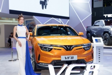 Giới kinh doanh ô tô Thái Lan: Xe điện VinFast sẽ được người Thái đặc biệt ưa chuộng