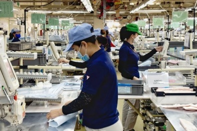 Quảng Ninh triển khai Giải thưởng Chất lượng Quốc gia năm 2024