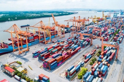 Xây dựng Nghị định sửa đổi về quản lý hoạt động hàng hải