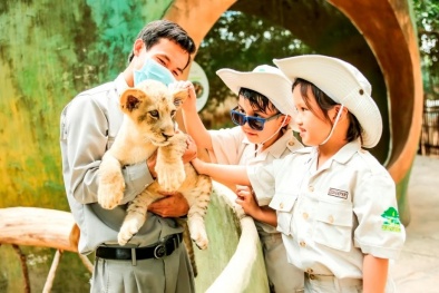 Siêu hot trải nghiệm 'nhập vai bảo mẫu nhí' cực hút khách tại Vinpearl Safari