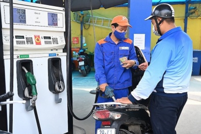 Sớm điều chỉnh giá các mặt hàng thiết yếu như điện, xăng dầu, dịch vụ y tế
