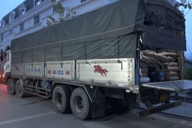 Tiêu hủy lượng lớn tinh bột sử dụng để sản xuất bún tươi, bánh phở không rõ nguồn gốc xuất xứ