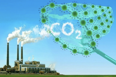 Các địa phương cần nhanh chóng tiến hành kiểm kê khí nhà kính kể từ năm 2024 
