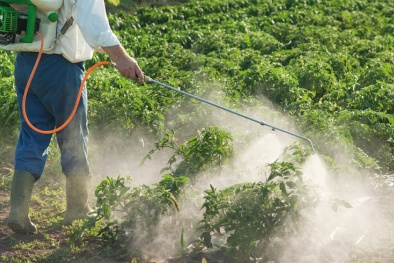 Cảnh báo tình trạng ngộ độc thuốc diệt cỏ Glufosinate