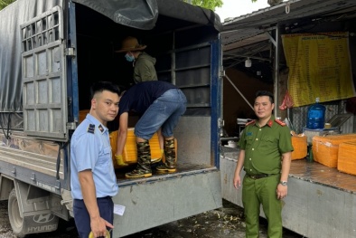 Hà Nội phát hiện hơn 1 tấn nầm lợn đông lạnh, đùi gà không rõ nguồn gốc xuất xứ 