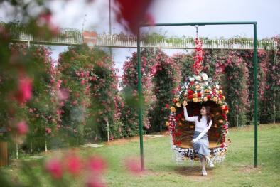 Vô vàn trải nghiệm hấp dẫn tại Lễ hội Hoa hồng lớn nhất Tây Bắc dịp lễ 30/4, 1/5