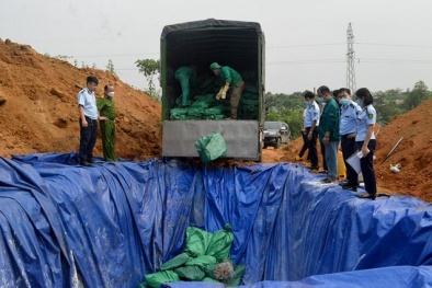 Yên Bái: Tiêu hủy gần 7 tấn chân gà đông lạnh không rõ nguồn gốc xuất xứ
