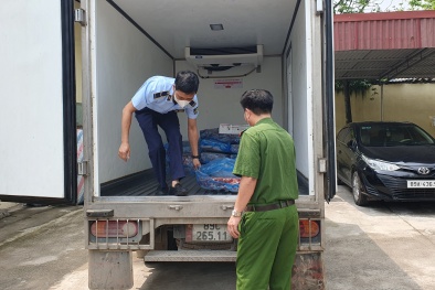 Nguy hại từ thịt lợn không bảo đảm yêu cầu vệ sinh thú y và an toàn 13Win OKVIP Cá cược bóng đá