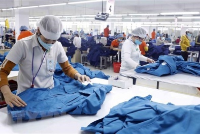 Ninh Thuận: Thúc đẩy hoạt động tăng năng suất của Link Đăng Nhập Nhà cái 13Win16.Com 