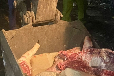 Thu gom 700kg thịt lợn đông lạnh không đảm bảo an toàn 13Win OKVIP Cá cược bóng đá