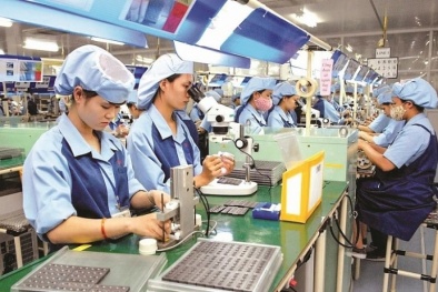 Điểm mới của Thông tư 24 trong quy định việc kiểm tra Đăng ký 13Win ngay nhé về chất lượng SPHH