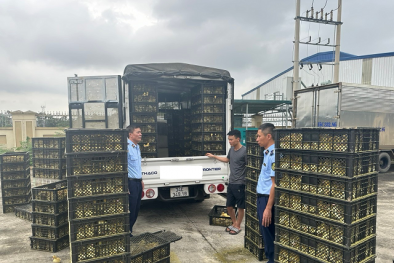 Siết chặt quản lý, ngăn chặn tình trạng nhập lậu gia súc gia cầm