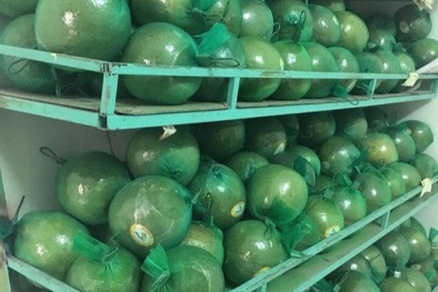 SPS Việt Nam thông báo các yêu cầu nhập khẩu 13Win OKVIP Cá cược bóng đá mới