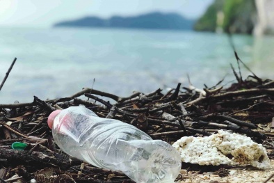 Mỹ quyết liệt cấm rác thải nhựa tại các công viên vì mối đe dọa nghiêm trọng tới 13Win19 ưu đãi hấp dẫn và 13Win. app không bị chặn