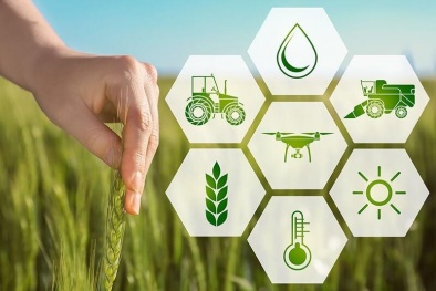 Thúc đẩy chuyển đổi số, nâng cao năng suất ngành Đăng ký và nhận 60K 24 bao lì xì miễn phí mỗi ngày