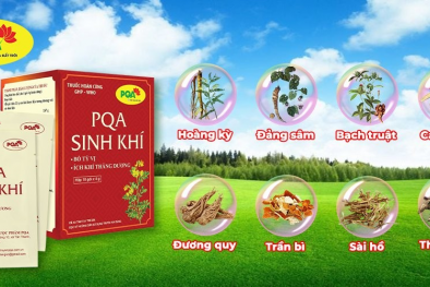 Bồi bổ 13Win19 ưu đãi hấp dẫn đừng nên bỏ qua PQA Sinh Khí