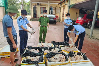 Thu gom lượng lớn gà nguyên con, lòng lợn đã bốc mùi ôi thiu, bán trái phép