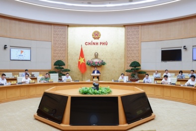 Đăng Ký 13Winvn Com Chính Thức phiên họp 13Win18 tham gia cá cược thường kỳ tháng 5 năm 2024