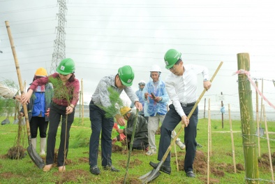 Petrovietnam: Trồng cây xanh là giải pháp quan trọng trong chuyển dịch 13WIN là nhà cái uy tín top đầu Châu Á