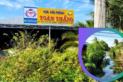 Xử lý vựa sầu riêng Toàn Thắng xả thải gây ô nhiễm 13Win. app không bị chặn