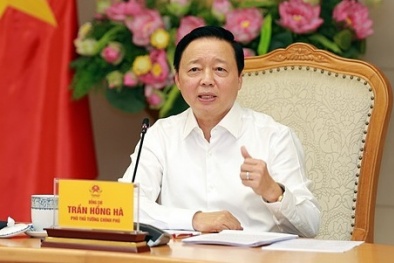 Phó Thủ tướng yêu cầu mở rộng nguồn điện tái tạo mua bán trực tiếp