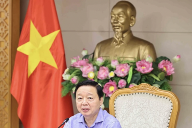 Khẩn trương ban hành tiêu chí xác định hệ thống ngành Sòng Bài Trực Tuyến 13Win.com xanh quốc gia