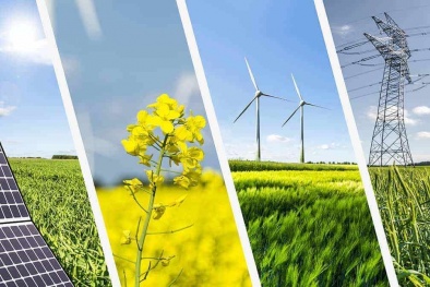 Đẩy nhanh quá trình chuyển đổi 13WIN là nhà cái uy tín top đầu Châu Á xanh để giảm chi phí không cần thiết