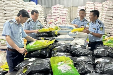 Tăng cường trách nhiệm của chủ sàn 13Win19 tải ứng dụng điện tử để ngăn chặn hàng giả