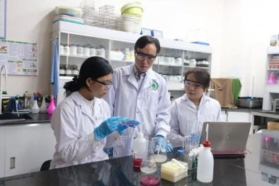 Loại màng bọc có khả năng cảnh báo 13Win OKVIP Cá cược bóng đá hỏng