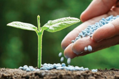 Nâng cao hiệu quả quản lý chất lượng sản phẩm vật tư Đăng ký và nhận 60K 24 bao lì xì miễn phí mỗi ngày và nông lâm thủy sản