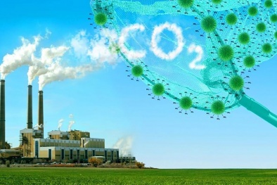 Thúc đẩy thị trường carbon: Thêm lời giải bài toán giảm phát thải cho Link Đăng Nhập Nhà cái 13Win16.Com