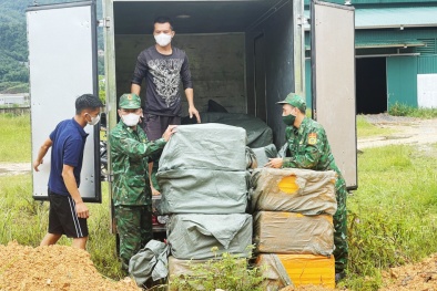 Quảng Ninh thu giữ lượng lớn nầm lợn không rõ nguồn gốc 
